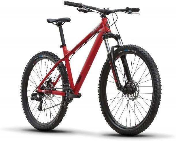 mountain bike for beginner