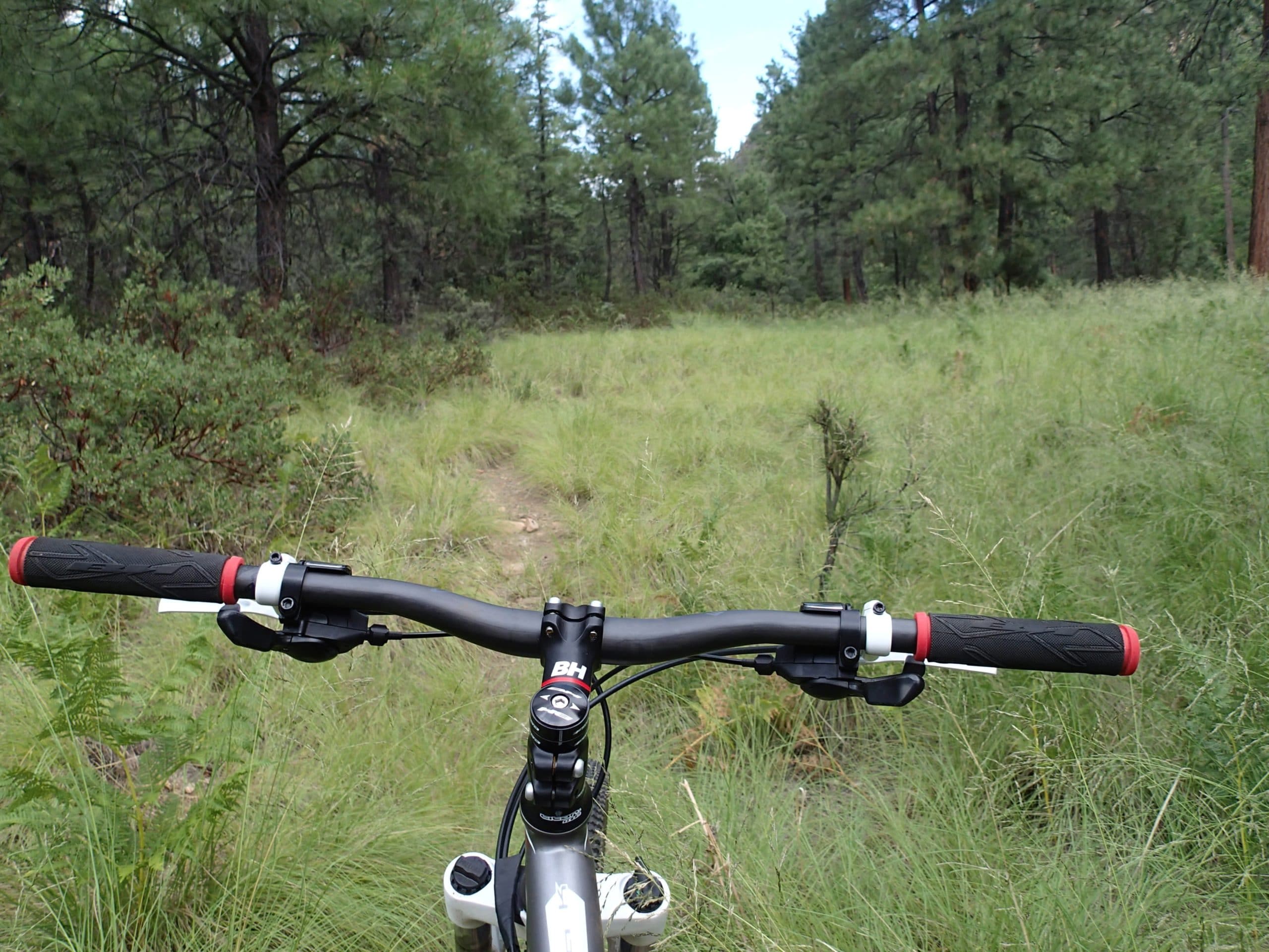 Damping of a Carbon Mountain Bike vs. Aluminum: Image of mountain bike in grass