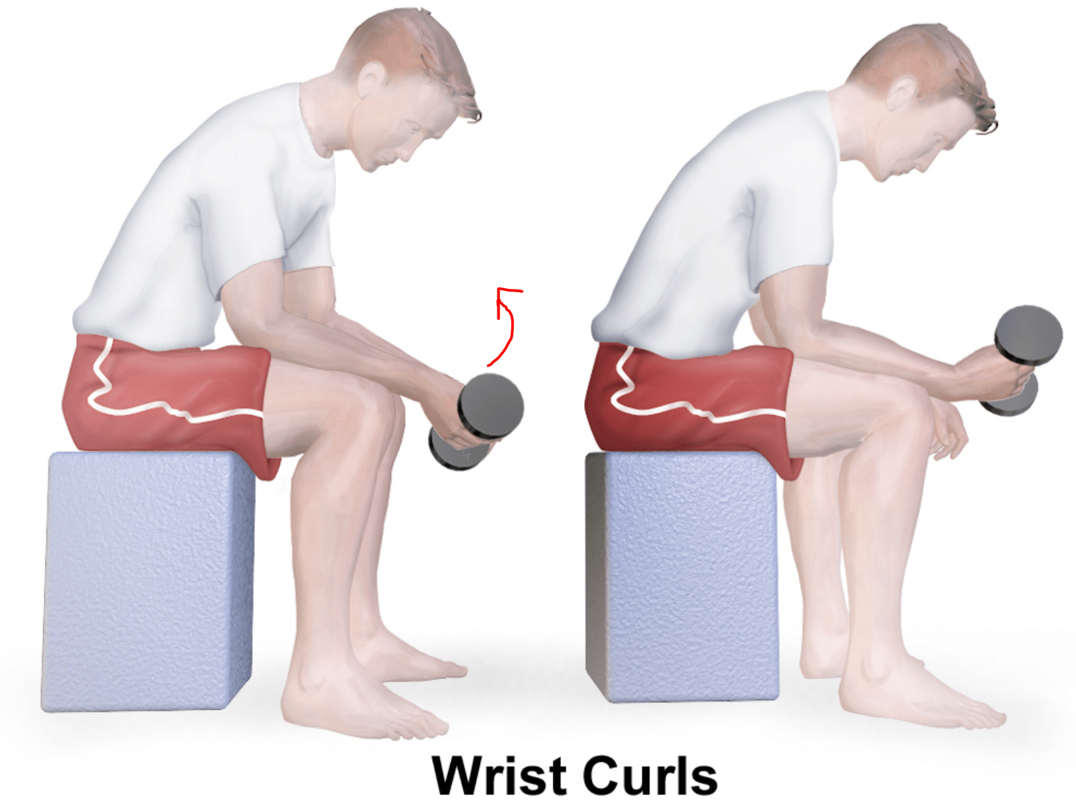 Use wrist curls to strengthen your muscles and reduce numbness while riding a mountain bike