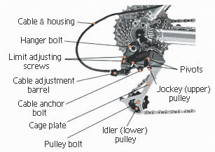 The intricate shifting system needs to be fully functional so that the chain keeps to the gear that you shift it to.