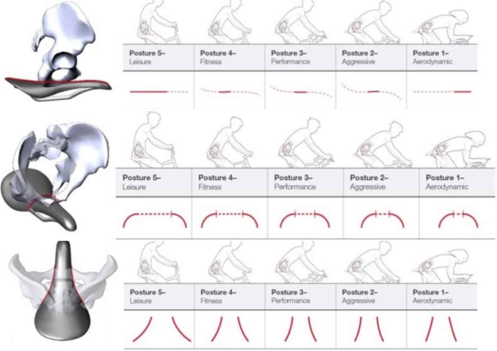 For you to adopt the appropriate posture your saddle will have to have the right profile and suitable padding.