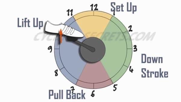 It is easy to build hamstring muscles by mountain biking as they play an integral role in the rotation of the pedals to propel the bike forward.