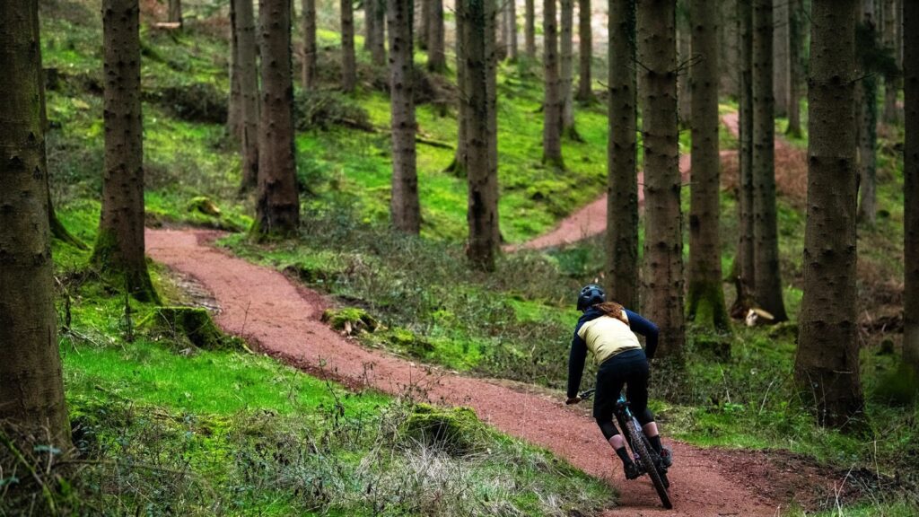 Mountain biking out in nature has been proven to alleviate stress, improve mental health, and improve sleep quality.